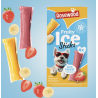 Fruity Ice Sticks