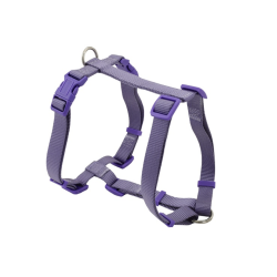 Arnés Basic H - Lila