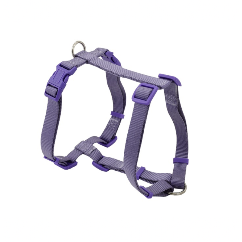 Arnés Basic H - Lila