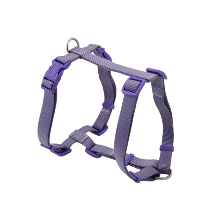 Arnés Basic H - Lila