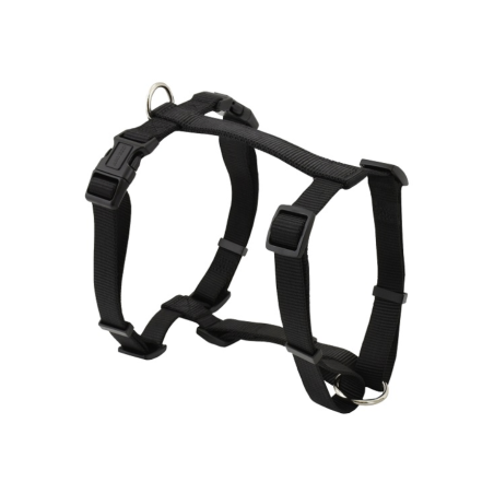 Arnés Basic H - Negro