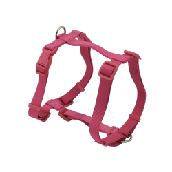 Arnés Basic H - Fucsia