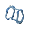 Arnés Basic H - Azul
