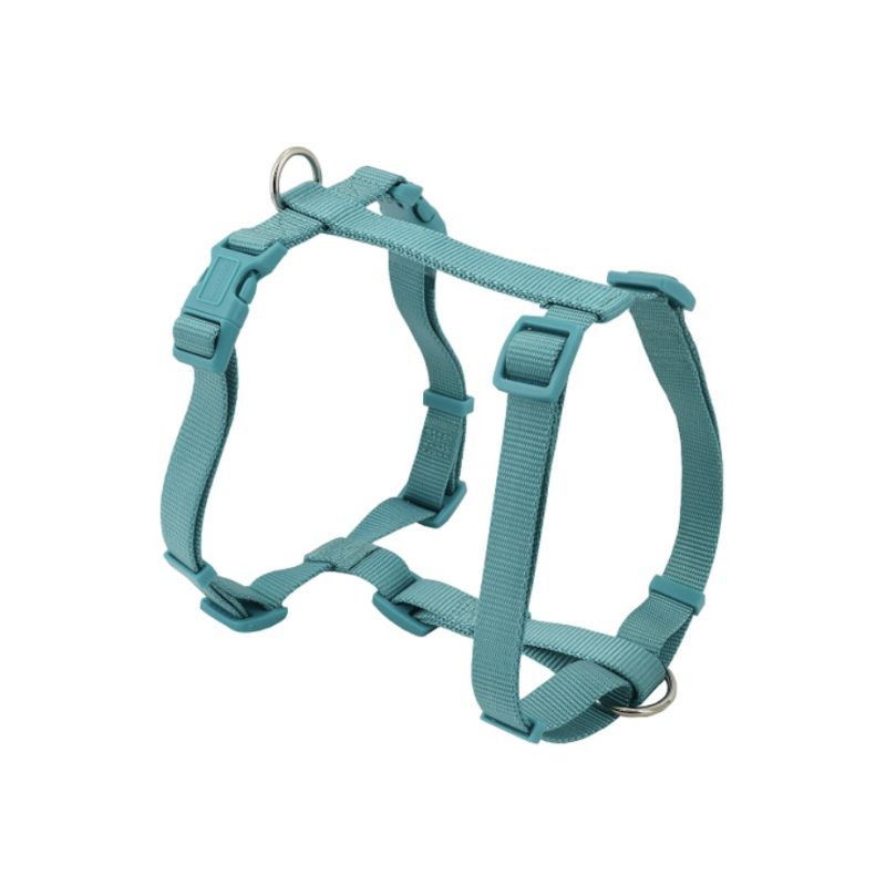 Arnés Basic H - Verde Agua
