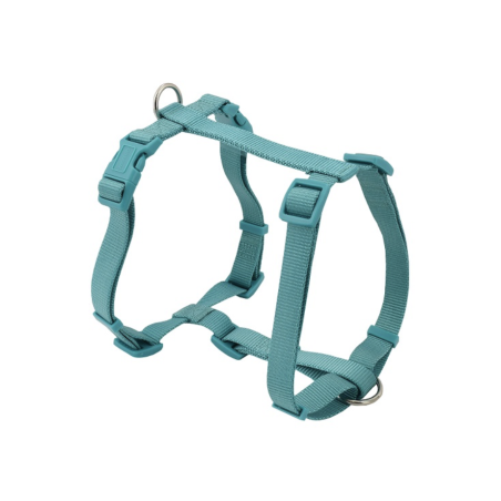 Arnés Basic H - Verde Agua