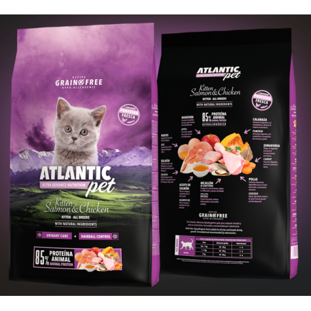 Chicken KITTEN - ATLANTICPET